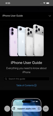 InvertDark for Safari Screenshot 1 of 1
