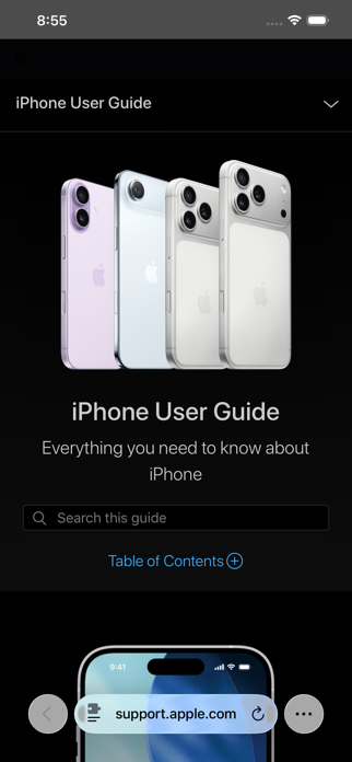 InvertDark for Safari Screenshot 1 of 1