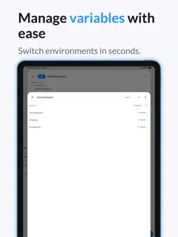 API & HTTP Client screenshot 17