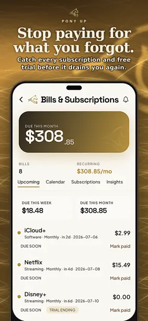 Pony Up: Split & Budget screenshot 4