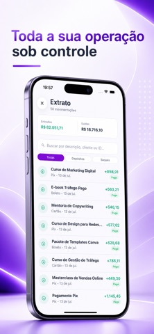 Flare Payments screenshot