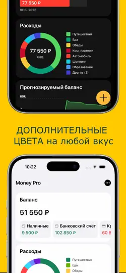 Скриншот Money Pro на iPhone 3