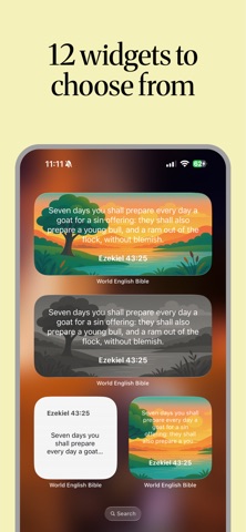 World English Bible OfflineAI iPhone screenshot