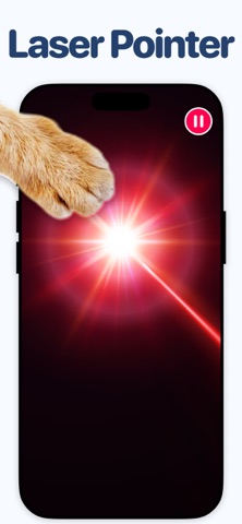 Games for Cats & Kittyㅤㅤ iPhone screenshot
