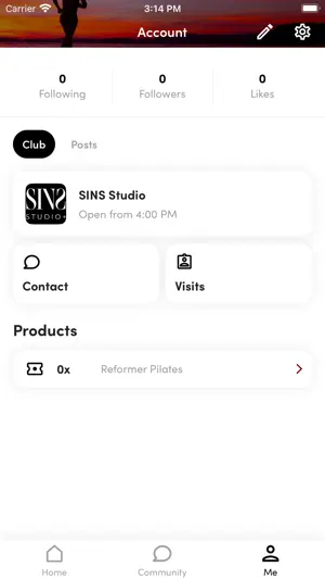 SINS Studio screenshot 2
