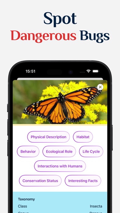 Insect Identifier Picture Screenshot
