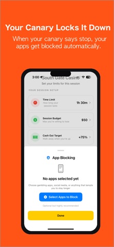 Casino Canary screenshot
