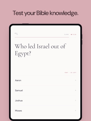 Bible Crossword Puzzle Game iPad screenshot