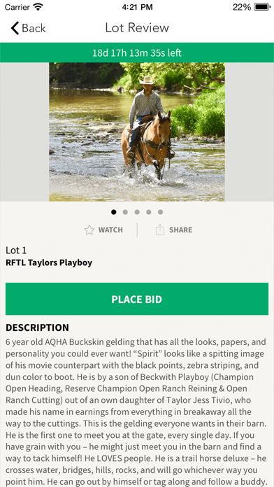 EquineAuction Screenshot
