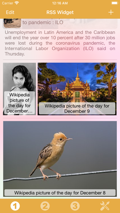 RSS Widget Screenshot
