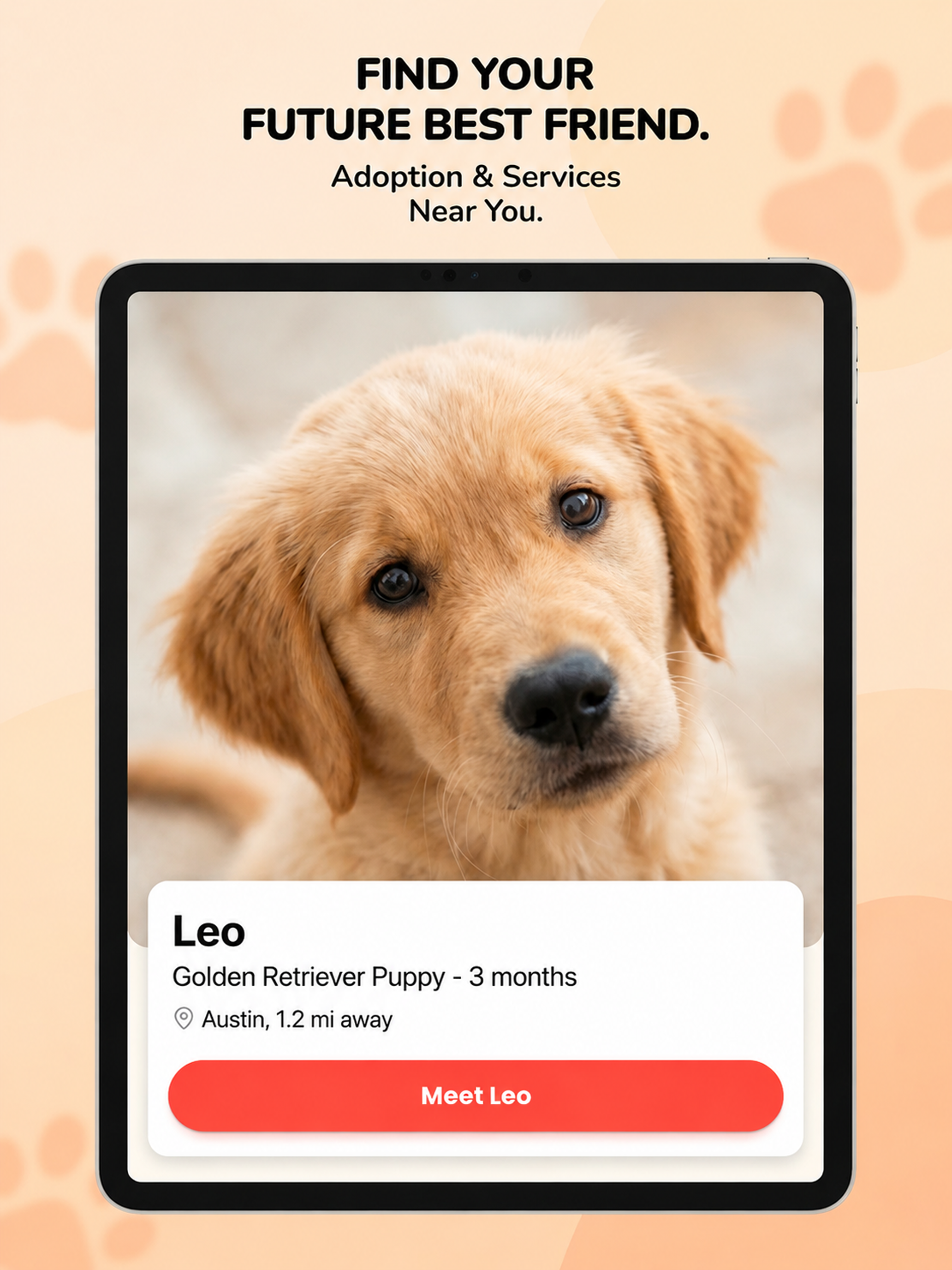 Adopt Animaux