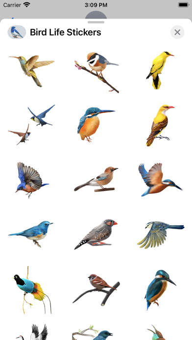 Bird Life Stickers Screenshot
