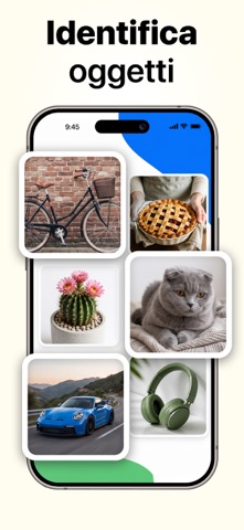 Lens AI: Identifica Foto iPhone screenshot 4