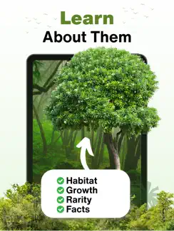 Tree Identifier - Photo ID iPad image 2
