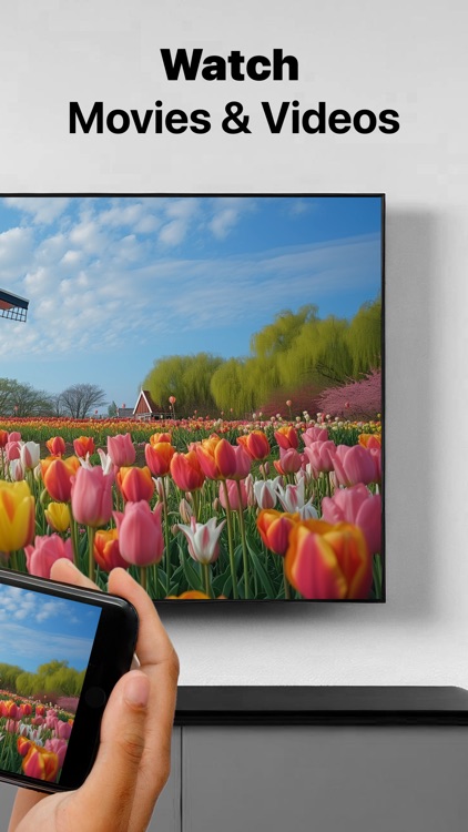 Mirror for Chromecast app