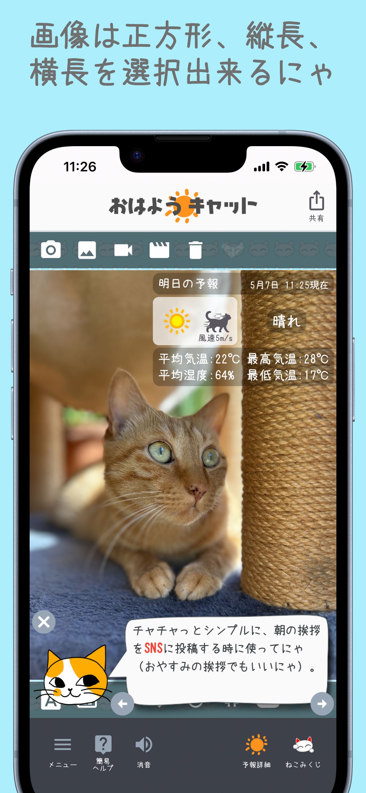 おはようキャット - 天気予報