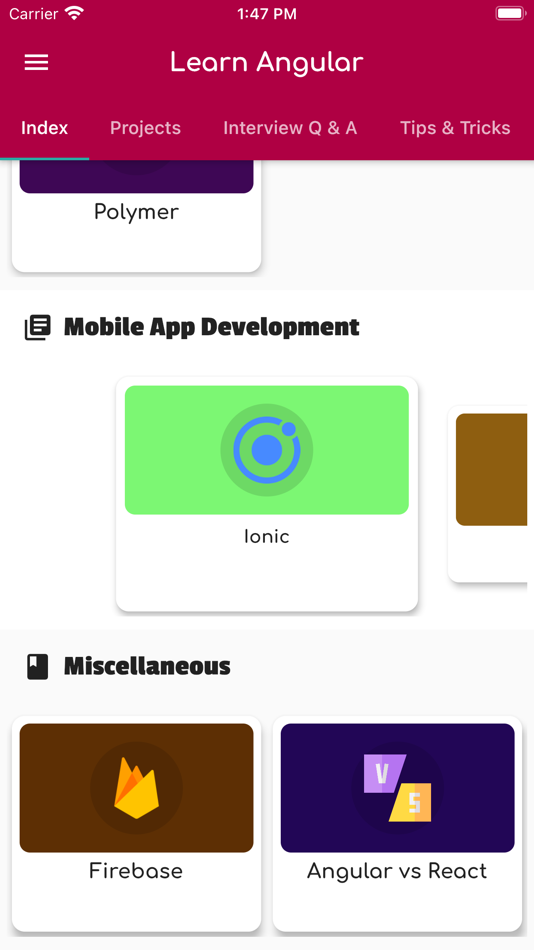 #6. Learn Angular Zero to Hero (iOS) Göre: Muhammad Mubeen