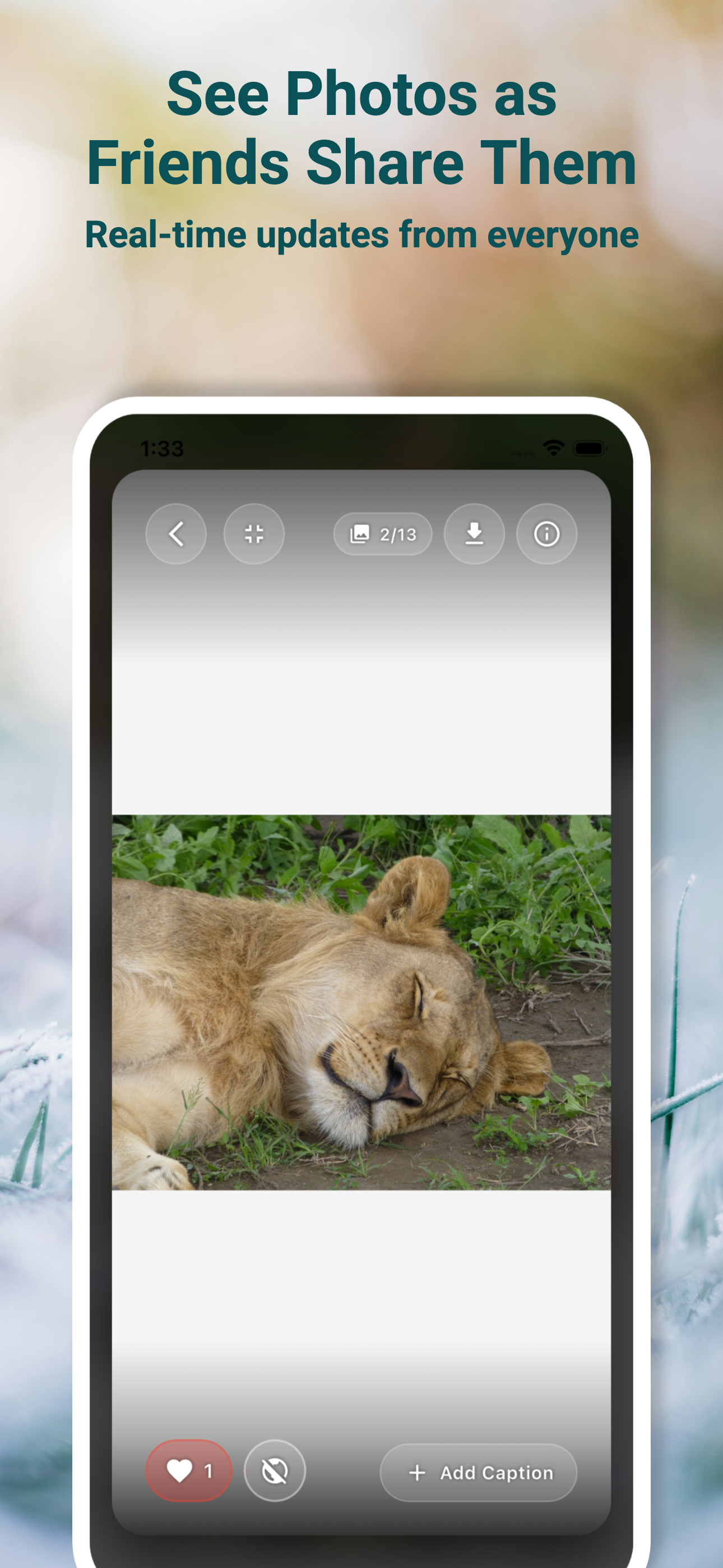 Image Blocx: Shared Albums screenshot 5