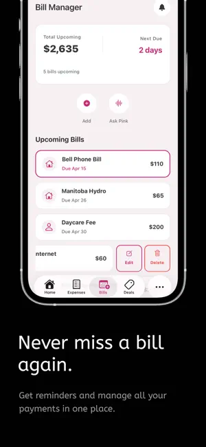 Pink Finance AI iPhone screenshot 5