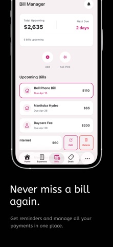 Pink Finance AI iPhone screenshot