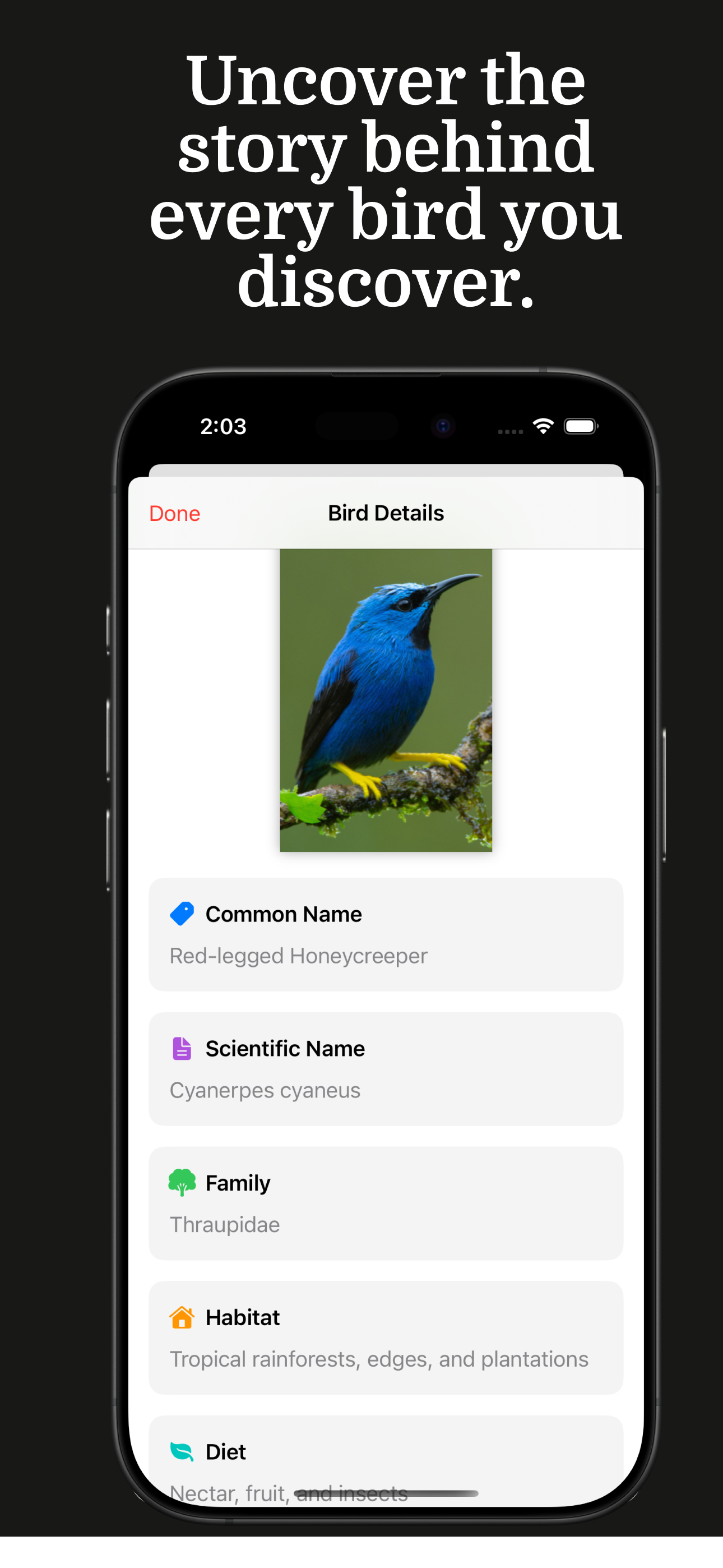 Bird Identifier - Birdy screenshot 3