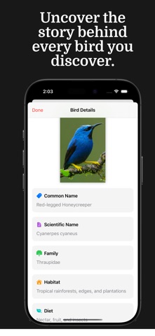 Bird Identifier - Birdy Screenshot 3 of 4
