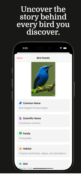 Bird Identifier - Birdy Screenshot 3 of 4
