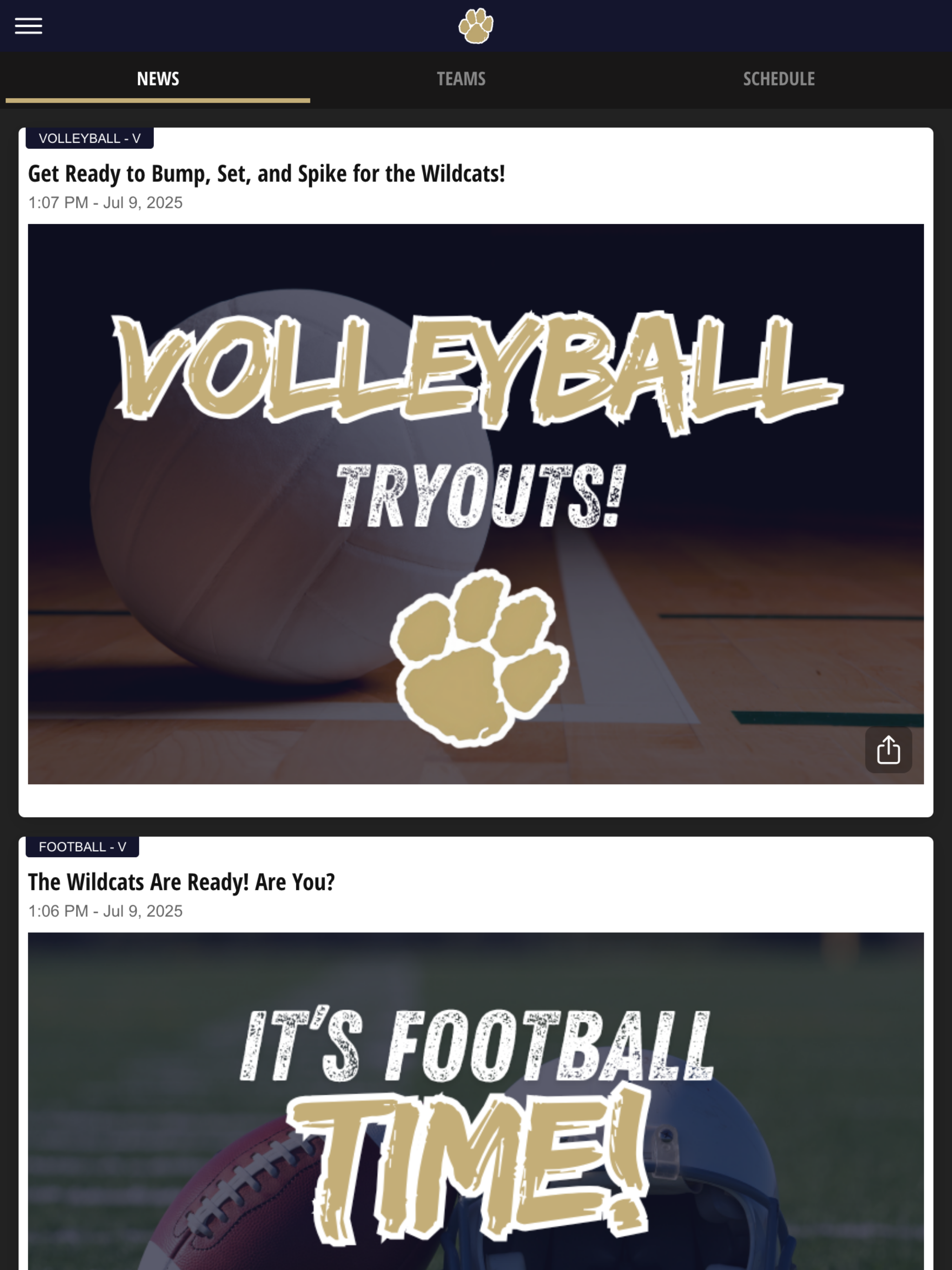 Fabens High School Wildcats