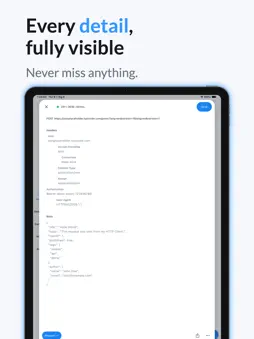 API & HTTP Client screenshot 15