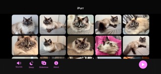 iPurr screenshot 6