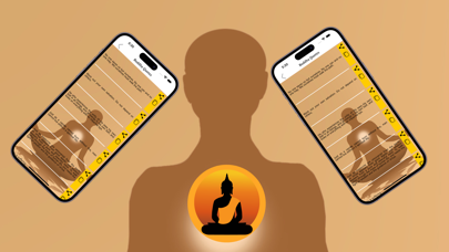 Screenshot #3 pour BuddhaMediNTeachingTeq