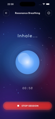 PulseFlow Pro Screenshot 2 of 5