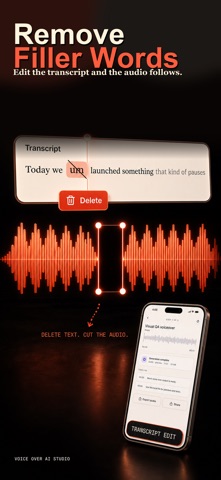 Voice Over AI Studio screenshot