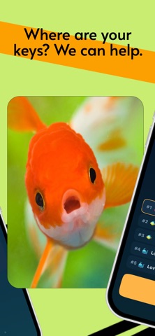 Goldfish Memory screenshot 3
