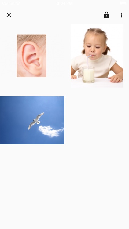 Portia Pro V5 screenshot-4