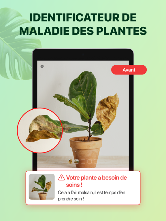 Screenshot #4 pour Identification Plante Malade