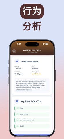 MeowLens: Cat Breed Identifier screenshot