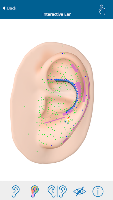 Auriculo 360 - The Living Ear Screenshot