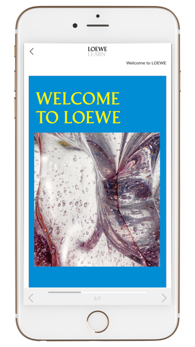 LOEWE Learn iPhone screenshot