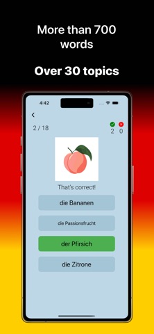 German VB screenshot