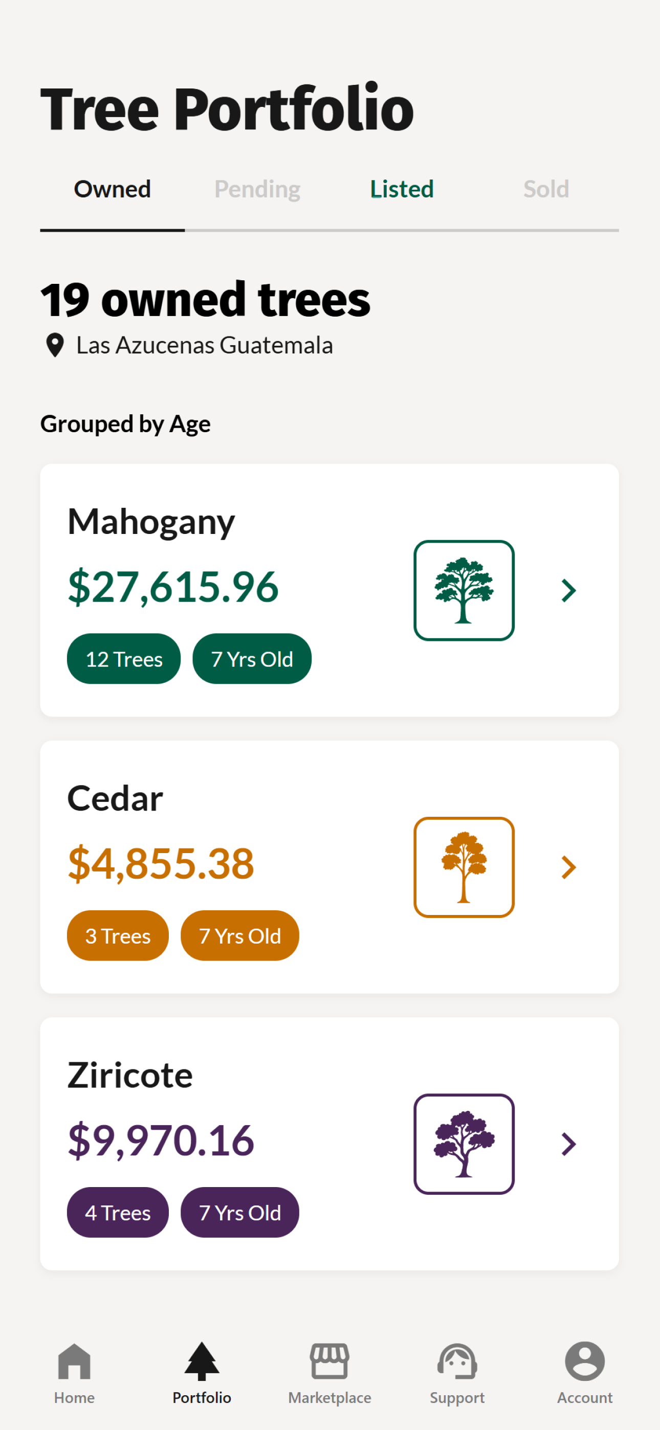 Canopy Marketplace
