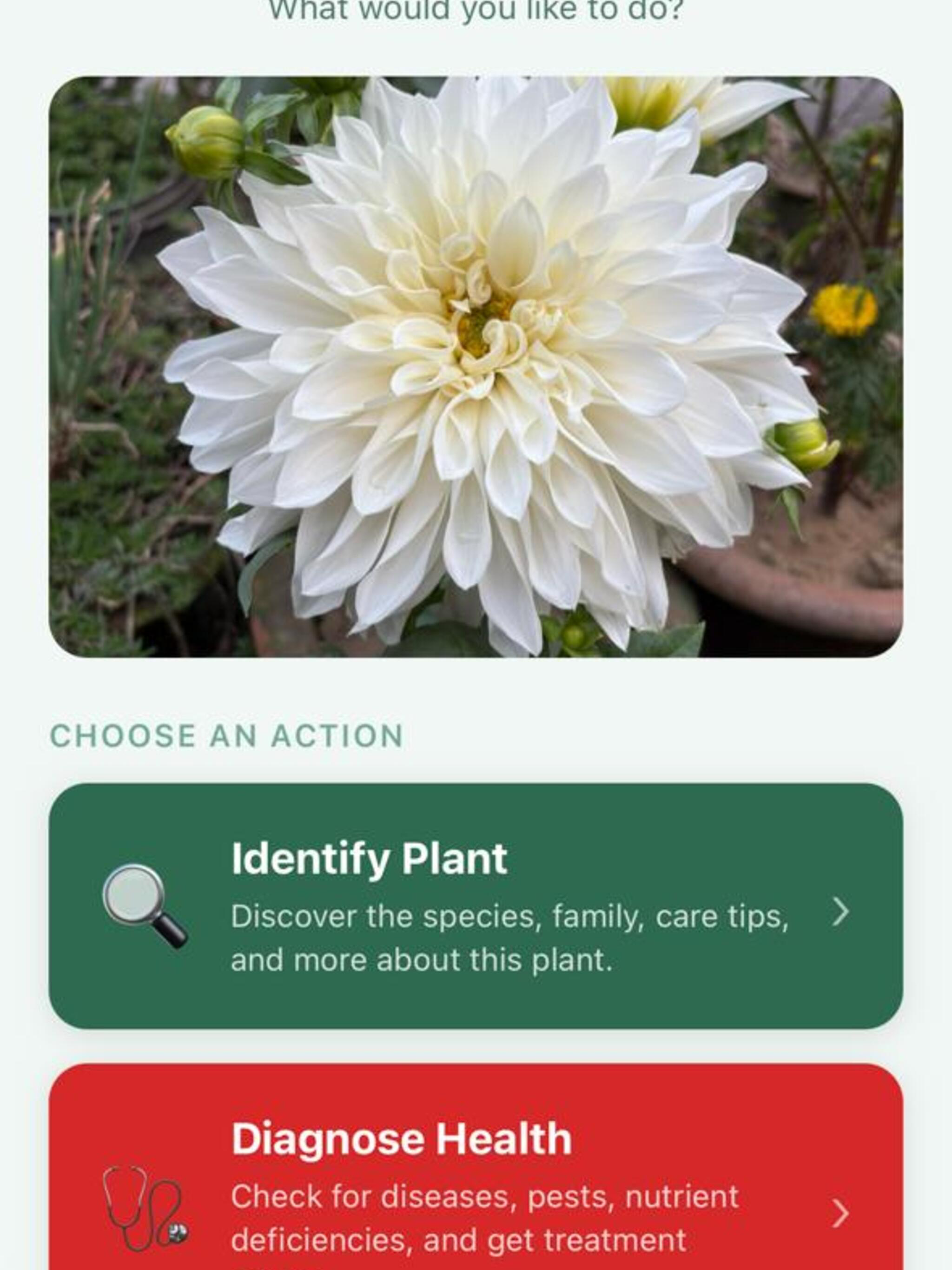 PlantZio Plant ID & Diagnosis screenshot 5