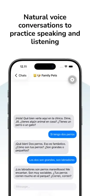 OpenLanguage screenshot 2