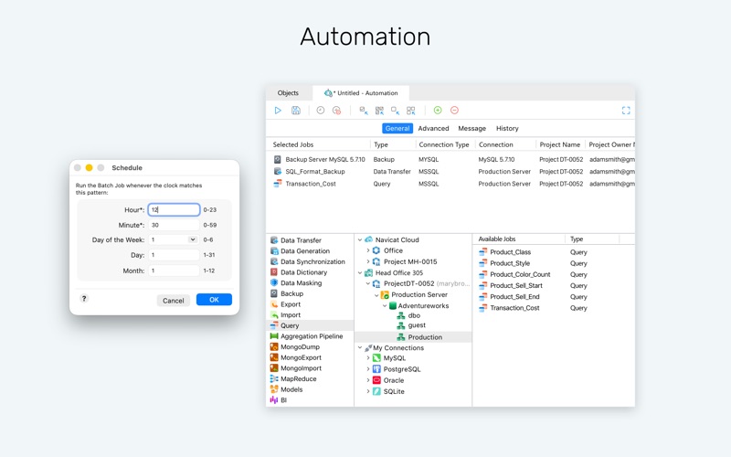 Navicat Premium 18 Screenshot 10
