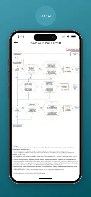 ICOP-AL screenshot 2