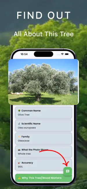 Tree identifier - Ai Scanner screenshot 2