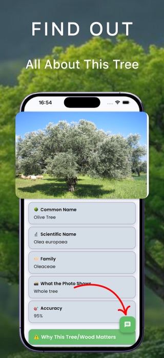 Tree identifier - Ai Scanner Screenshot 2 of 5
