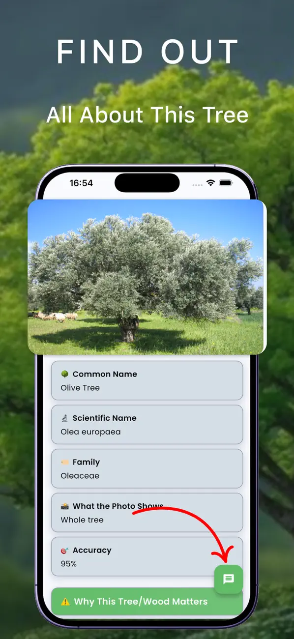 #2. Tree identifier - Ai Scanner (iOS) Ved: Reda Mezghiche
