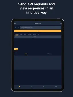 RestForge - API Client screenshot 4