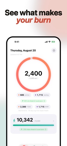 Total Calories - Daily Tracker Screenshot 4 of 9